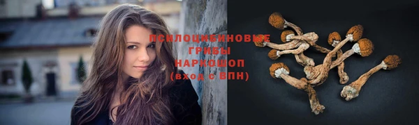 spice Абинск
