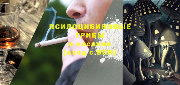 spice Абинск