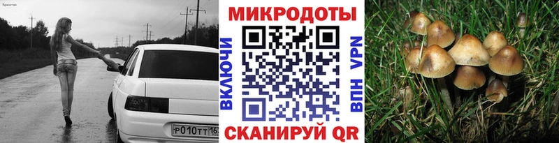 мега ССЫЛКА Вичуга shop какой сайт Псилоцибиновые грибы Psilocybine cubensis