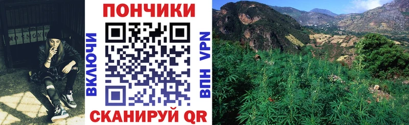 Бошки Шишки THC 21%  Вичуга 